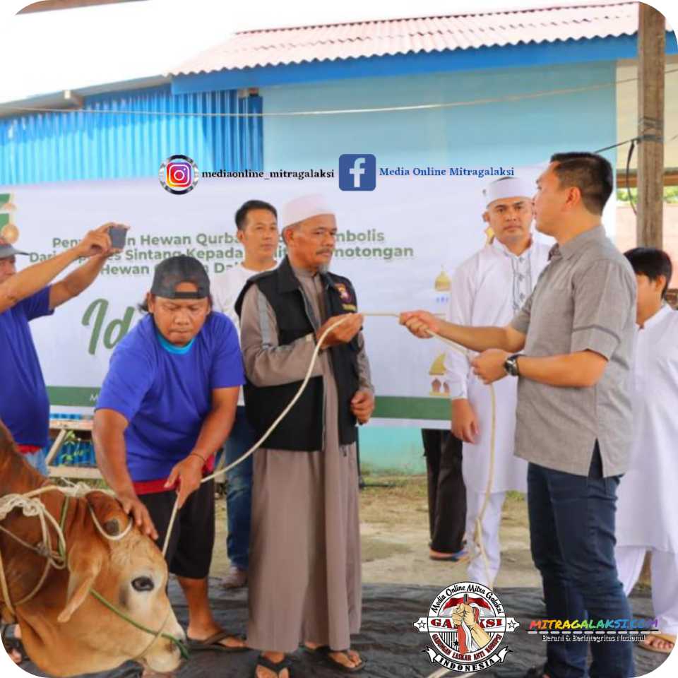 Memperingati Hari Raya Idhul Adha 1443 H,Kapolres Sintang AKBP Tommy Ferdian, S.I.K., M.Sc (Eng), Menyerahkan Hewan Qurban.