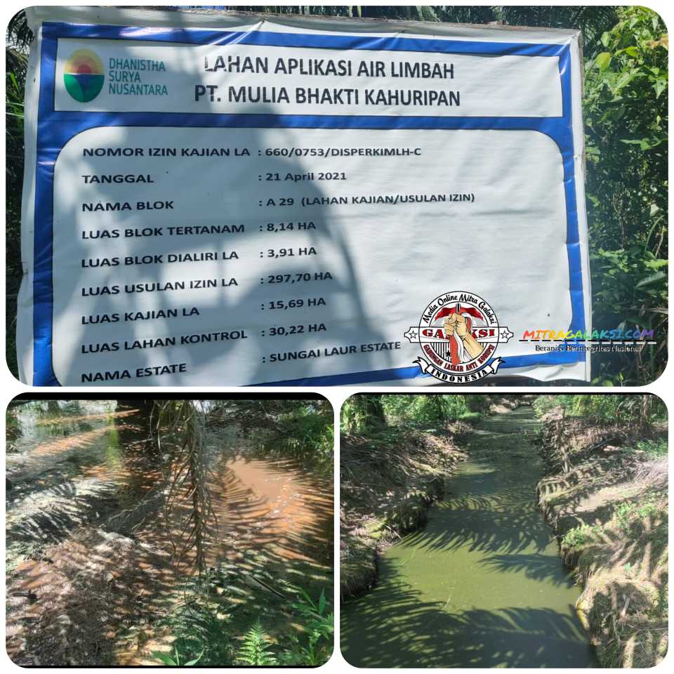 Dinas Perkim LH Ketapang Keluarkan Hasil Uji Lab Kepada PT.MBK dan Berikan Teguran Serta Sanksi.