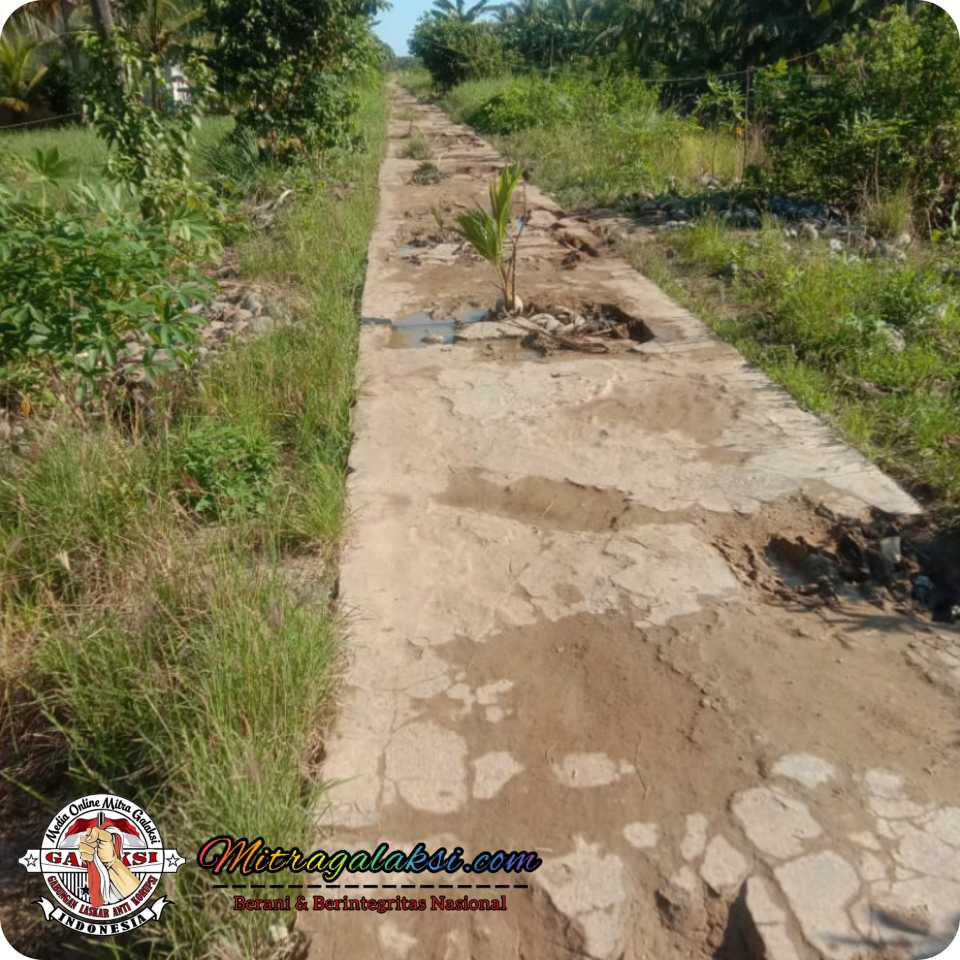 Jalan Desa Tanjung Harapan Tak Kunjung di perbaiki, Warga Keluhkan Jalan Rusak.