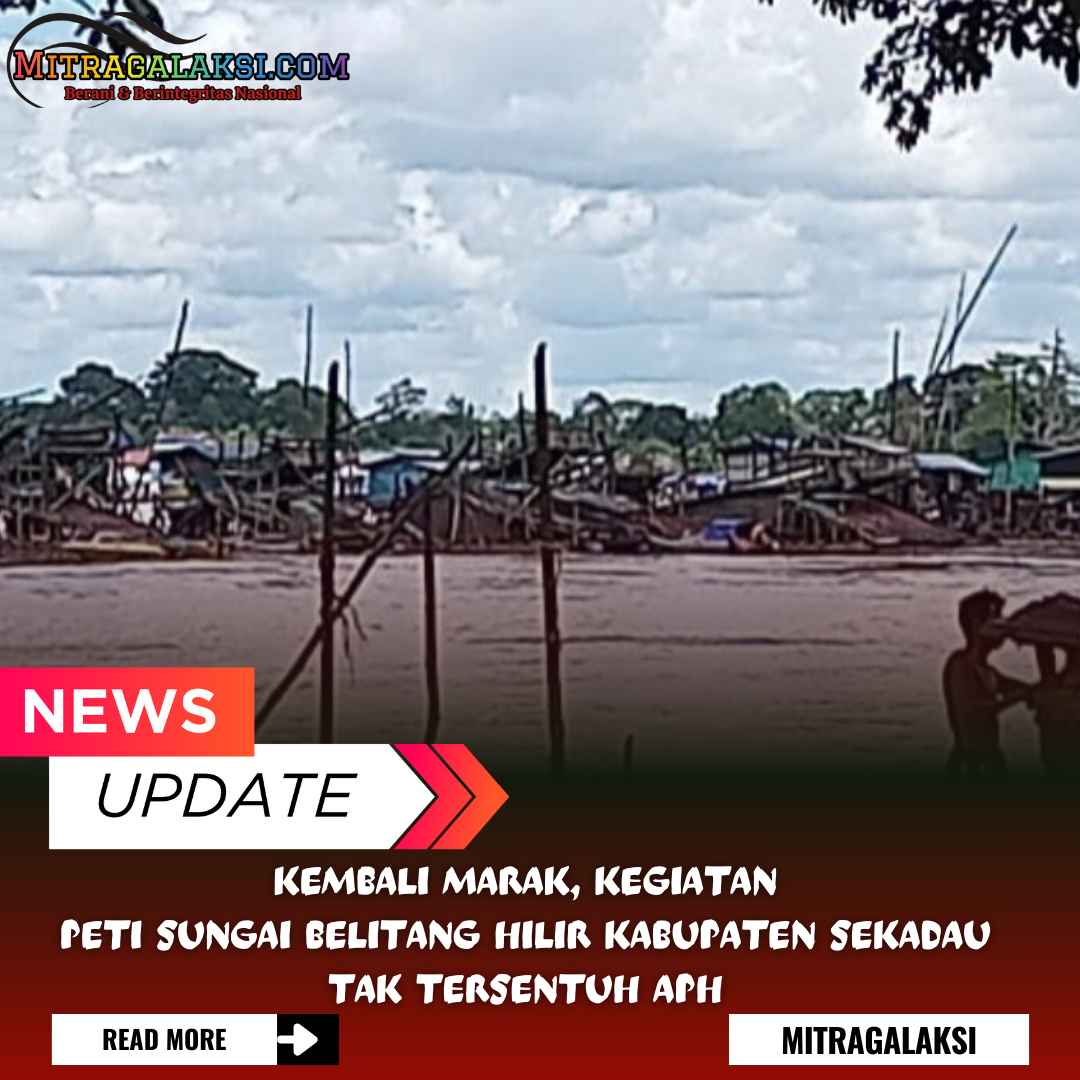 PETI Sungai di Desa Entabuk Kecamatan Belitang Hilir Kabupaten Sekadau Tak Tersentuh APH.