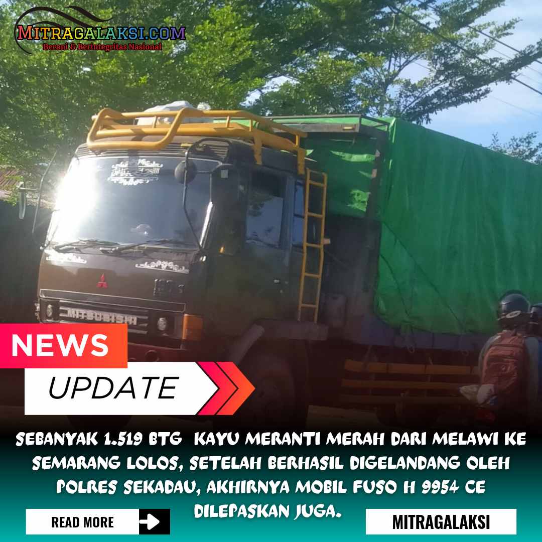 Menggunakan Truck Puso H 9954 CE, 1.519 Kayu Meranti Merah Dari Melawi Dibawa Ke Semarang.